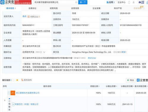 阿里巴巴布局数据科技新赛道 成立两家公司，深耕数据处理服务
